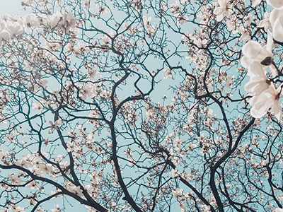 ACT写作考试