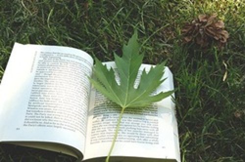 ACT考试和SAT考试的十大不同