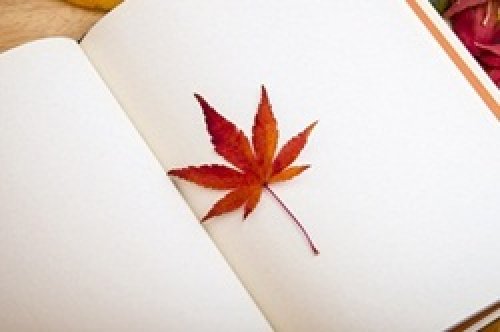 申请美国本科act考试是最大的助手